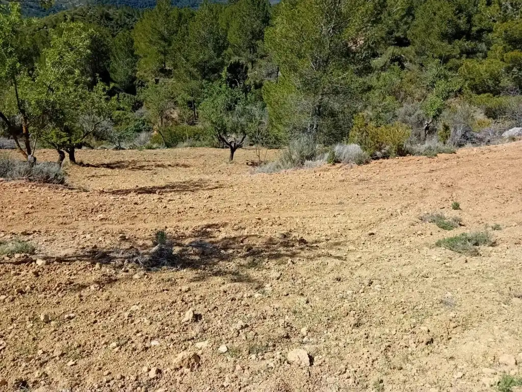 Casa o chalet en venta en Buñol