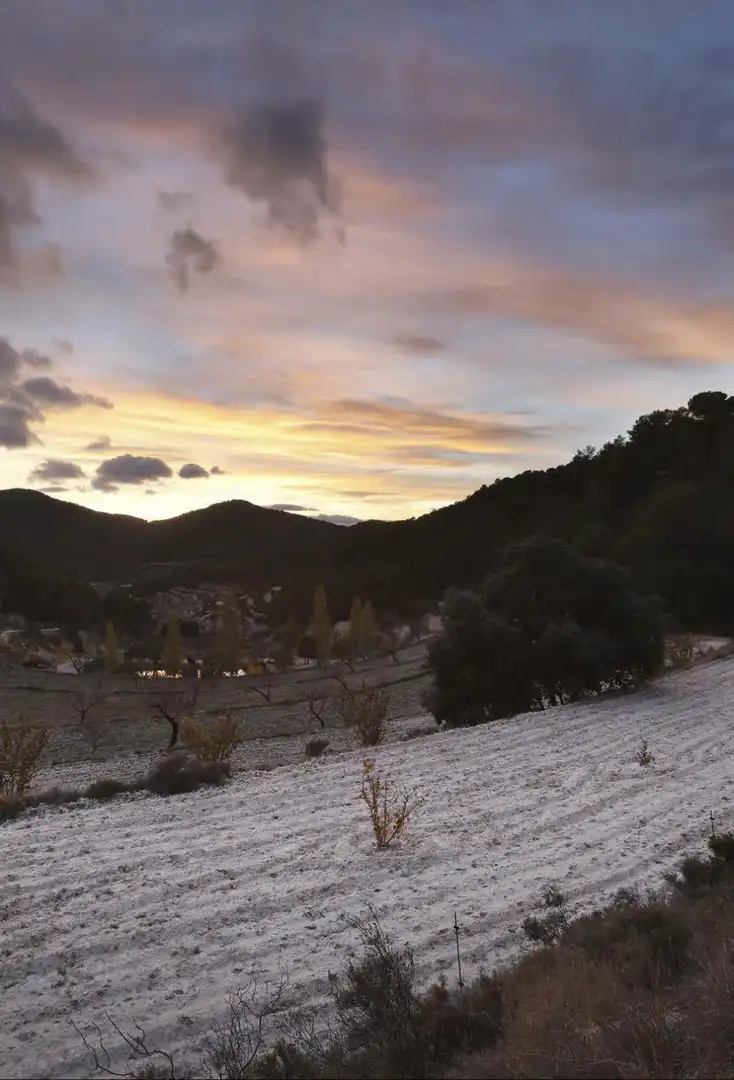Casa rústica en venta en Torremanzanas / La Torre de les Maçanes, imagen 12