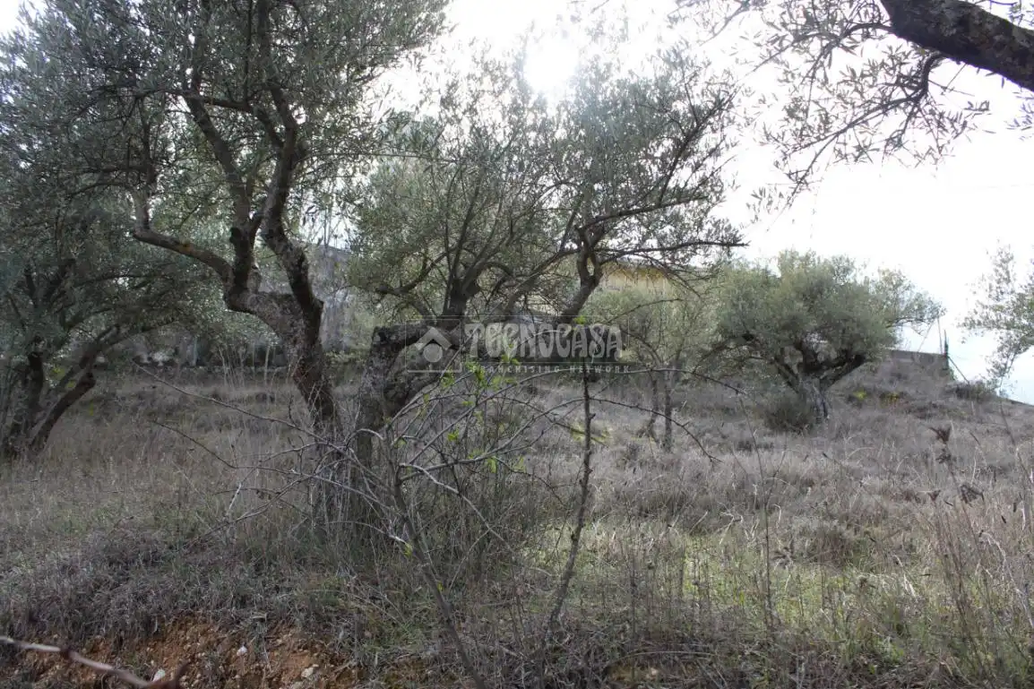 Terreno residenziale in vendita a Santorcaz, imagen 2