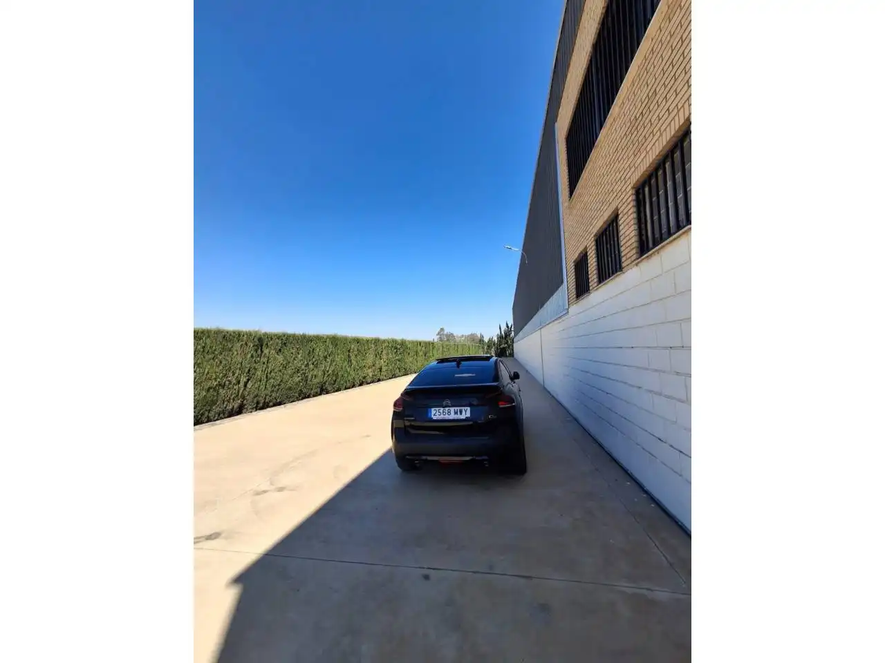 Parking of Industrial buildings for rent in Sollana