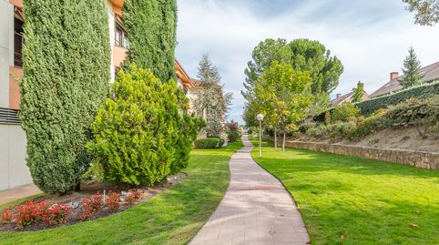 Foto 3 de Piso de alquiler en Avenida de Mallorca, El Pinar - Punta Galea, Las Rozas de Madrid