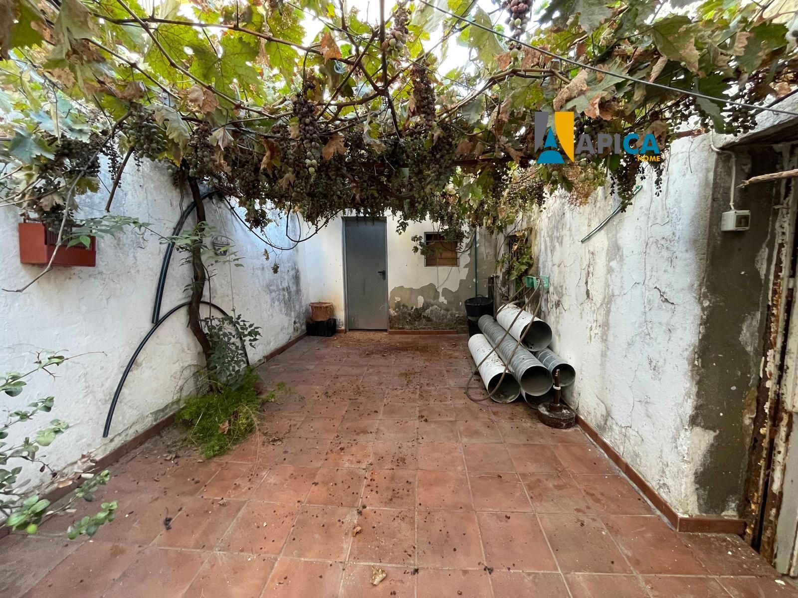 Garden of House or chalet for sale in Chiclana de la Frontera