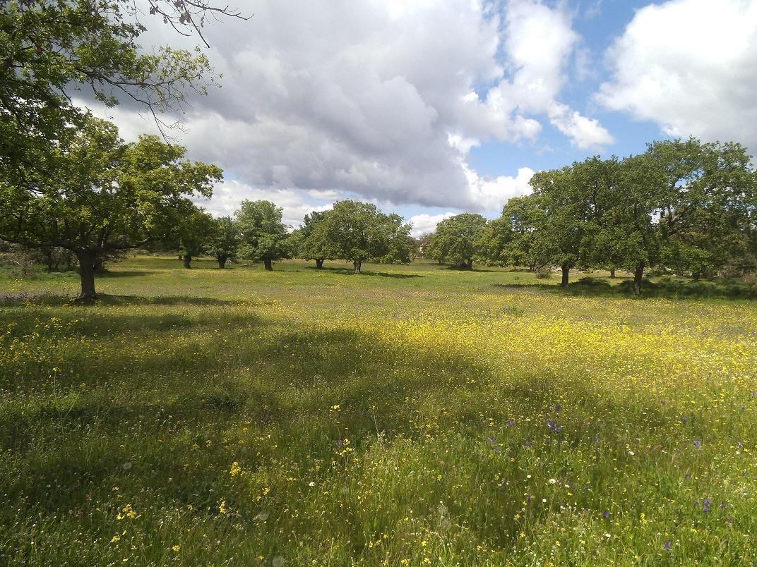Residencial en venda en Valdemorillo