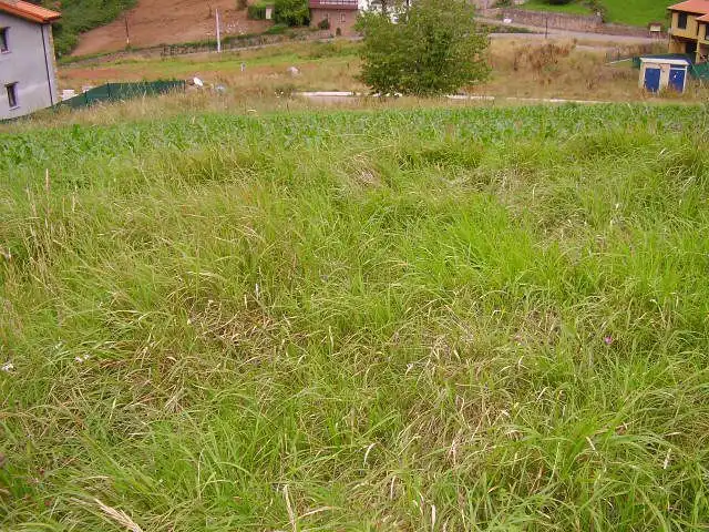 Terreny residencial en venda a Candamo, imagen 7