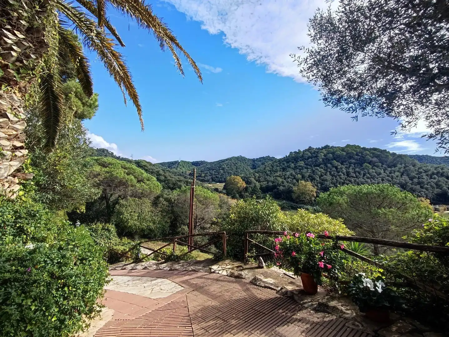 Casa amb jardí en venda a Carrer Carrer Montseny, imagen 29