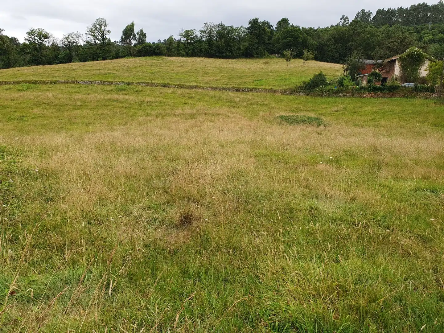 Residential land for sale in Grado