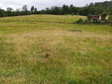 Terrain résidentiel à vendre à Grado