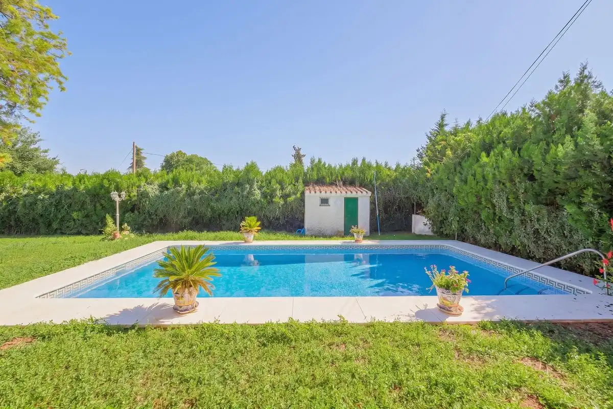 Haus mit Pool zum Verkauf in Calle Alameda, imagen 3
