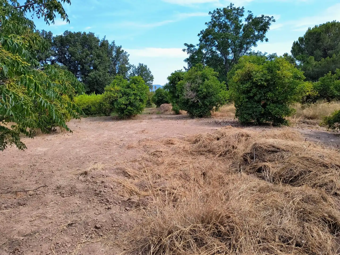 Terrenys i solars en venda a Pedanías Oeste, imagen 2