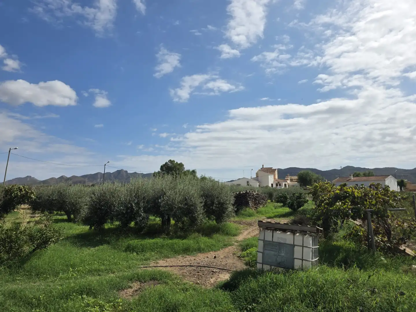 Landhaus mit Garten zum Verkauf in Avenida Santa Ana, imagen 3