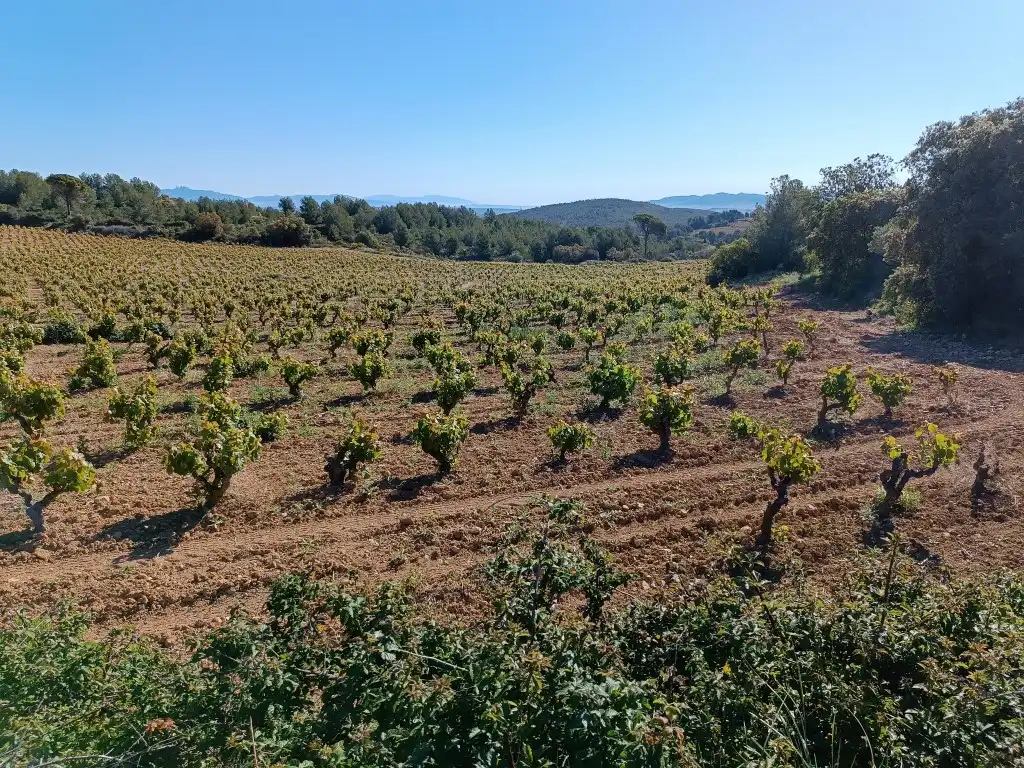 Rustikales Grundstück zum Verkauf in Sant Julià, imagen 16