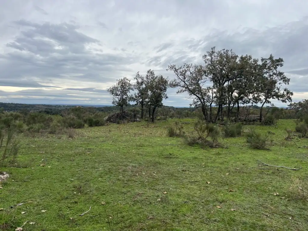 Finca rústica en venta en Valencia de Alcántara