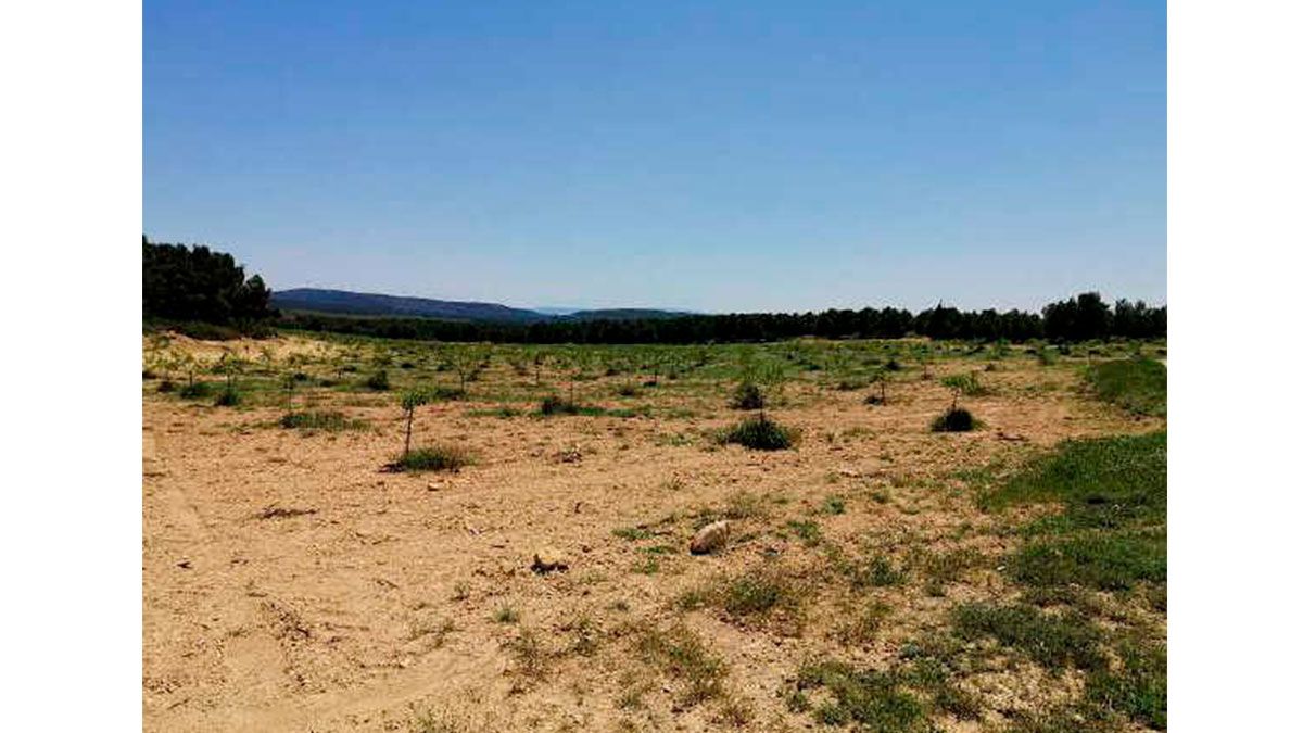 Residencial en venda en Almansa
