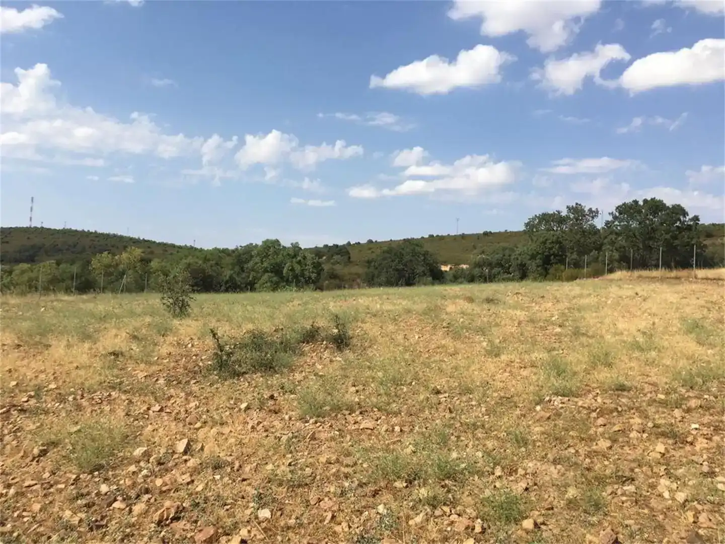 Land for sale in Hontanar