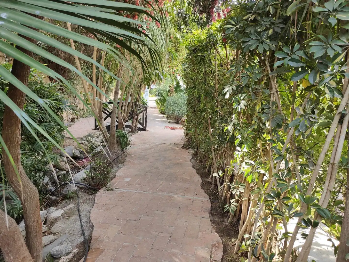 Appartement avec piscine à vendre à Calle Barranco los Marinos 2, imagen 17