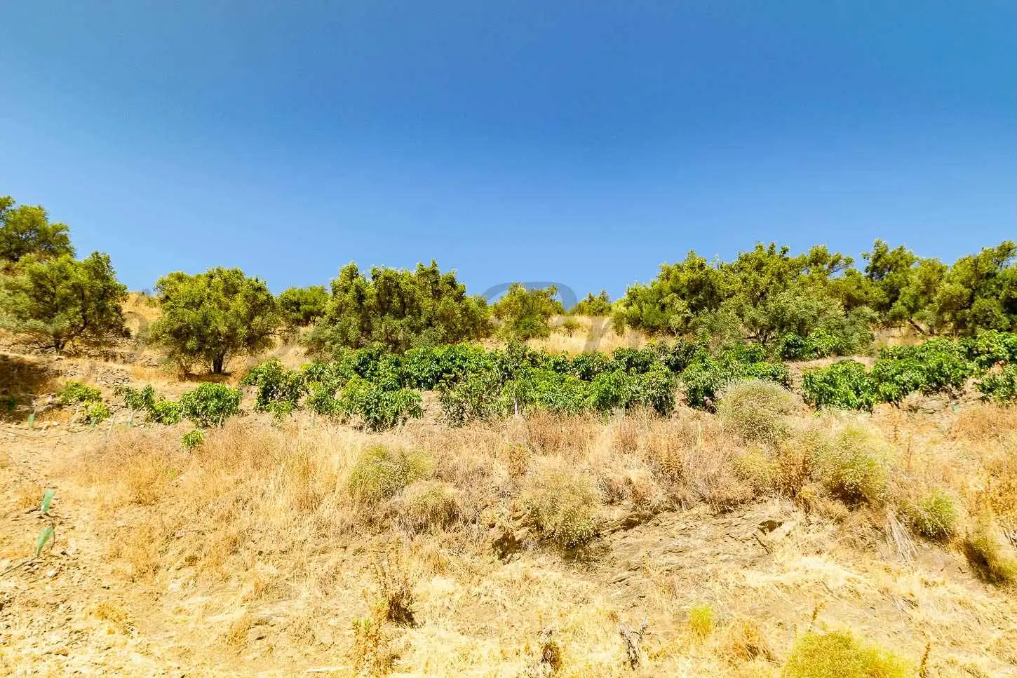 Rustikales Grundstück zum Verkauf in Torrox Pueblo, imagen 5