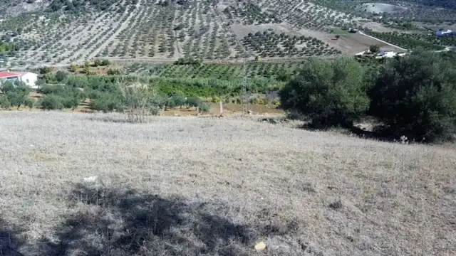 Terreni e lotti in vendita a Avenida de San Roque, imagen 27