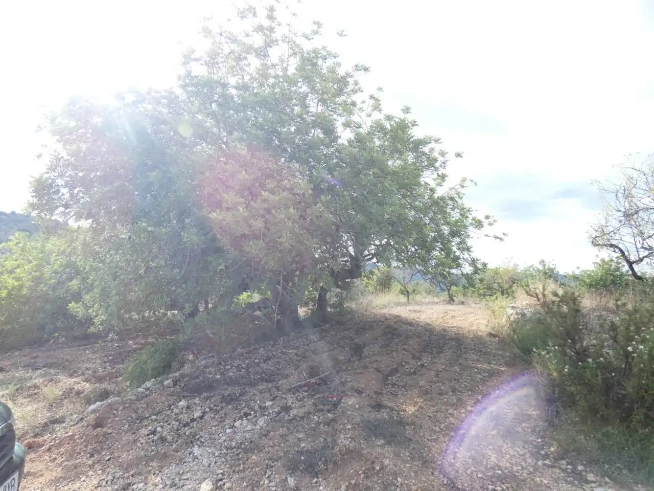 Rural land for sale in Calle POLIGONO 36   419, imagen 4
