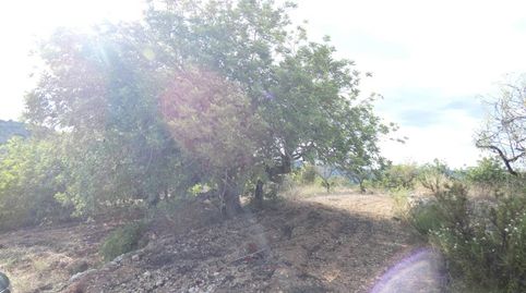 Terreno en venta en Cervera del Maestre!, imatge 4