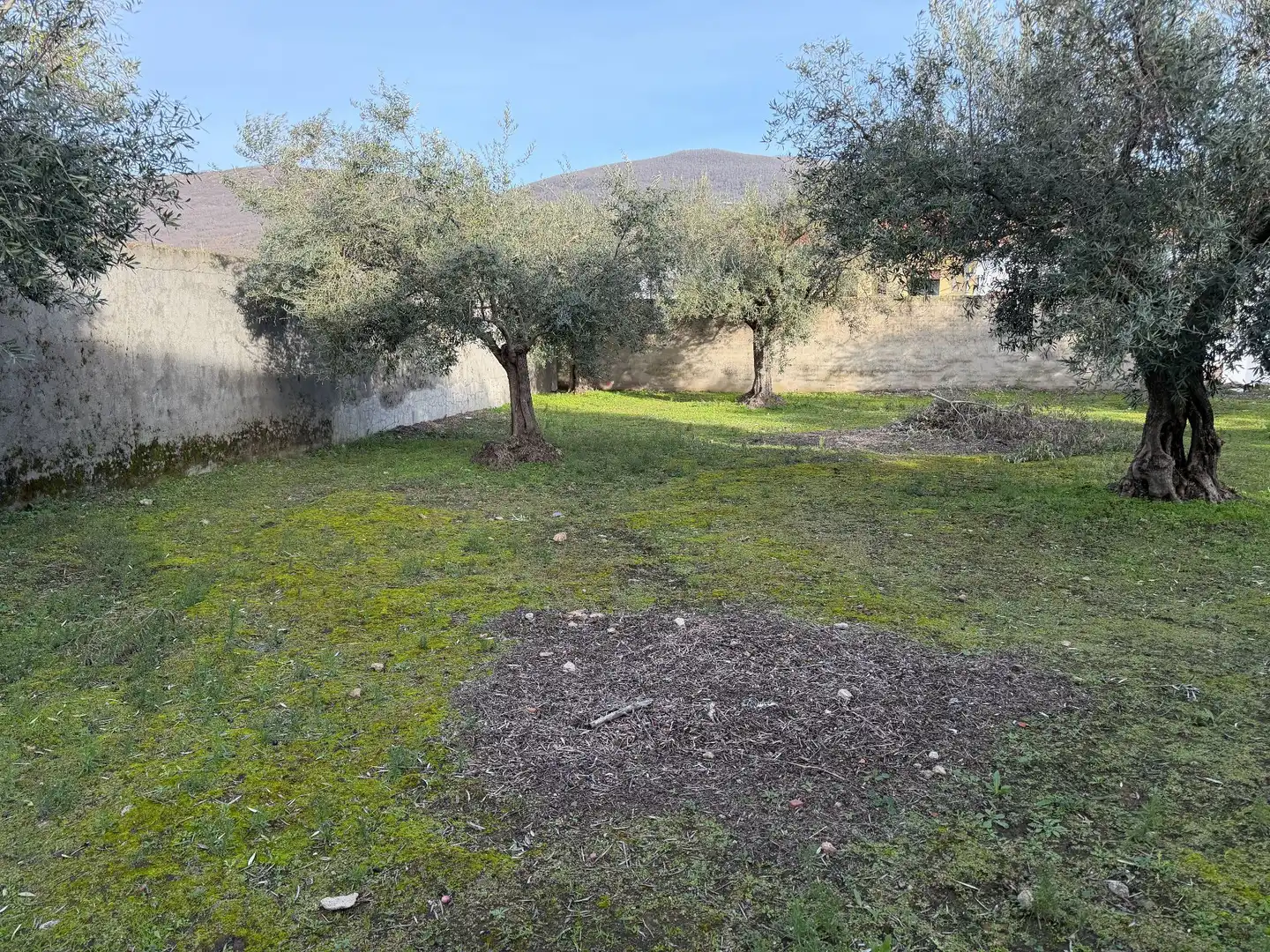 Residencial en venta en Gargüera