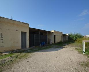 Exterior view of Box room for sale in Deltebre