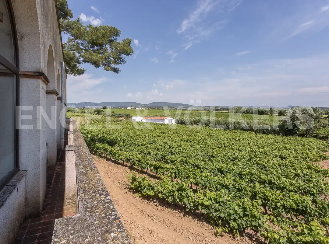Casa o chalet en venta en Puigdàlber con Aire acondicionado, Calefacción y Jardín privado