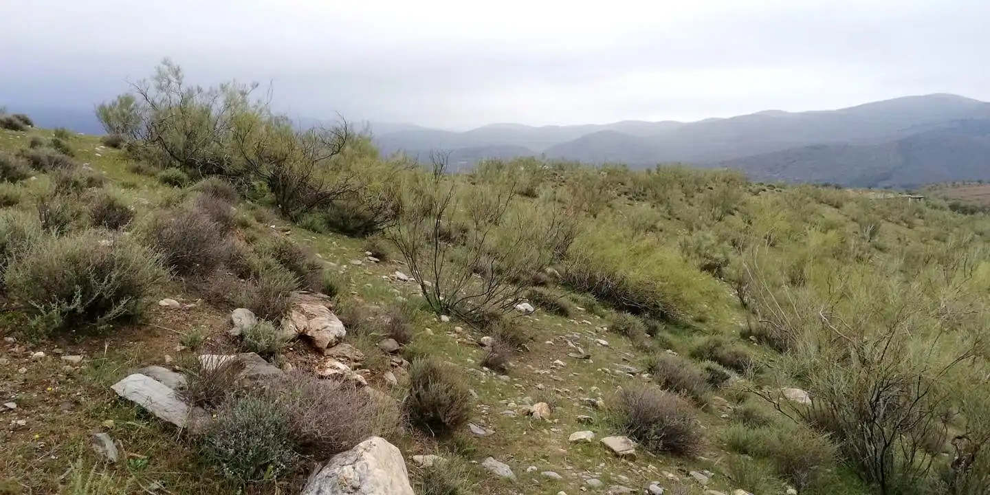 Grundstücke und Bauplätze zum Verkauf in CORTIJO LA CARA, imagen 5