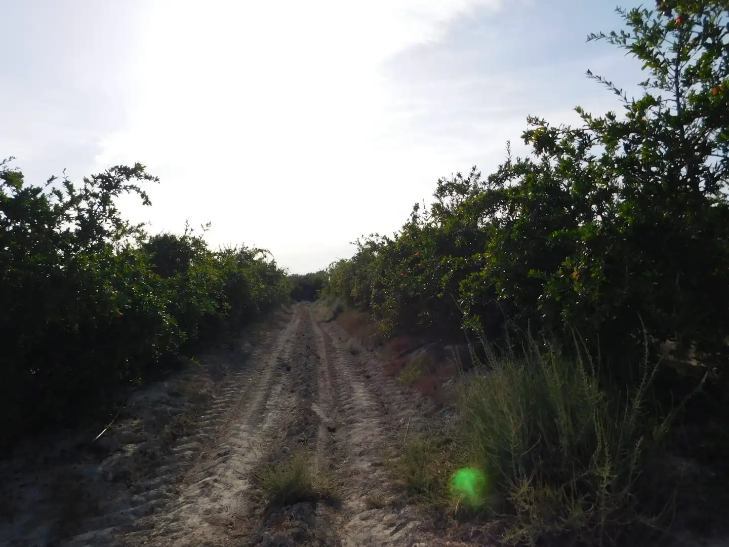 Terreno residencial en venta en San Miguel de Salinas, imagen 10