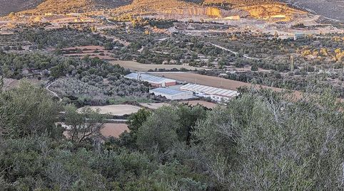 Foto 3 de Finca rústica en venta en El Pantanet I Les Moles, Ulldecona, Tarragona