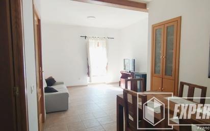 Living room of Flat for sale in Soneja  with Terrace and Furnished