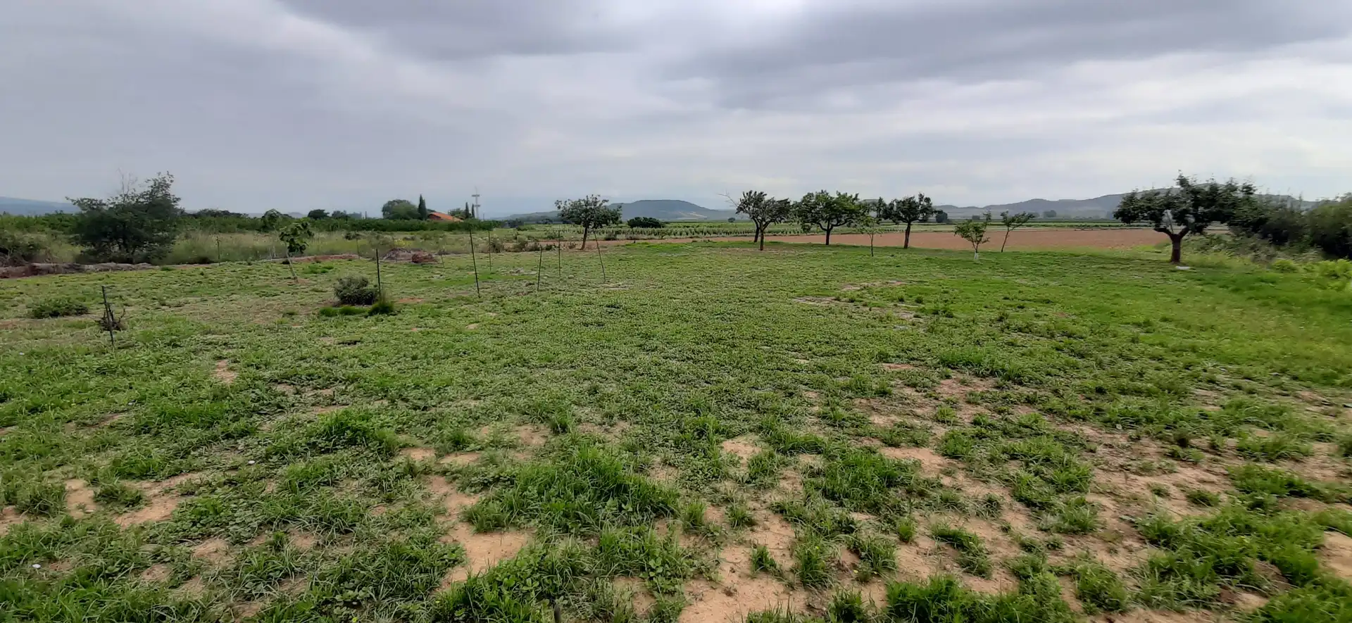 Xalet amb jardí en venda a Entrena, imagen 13