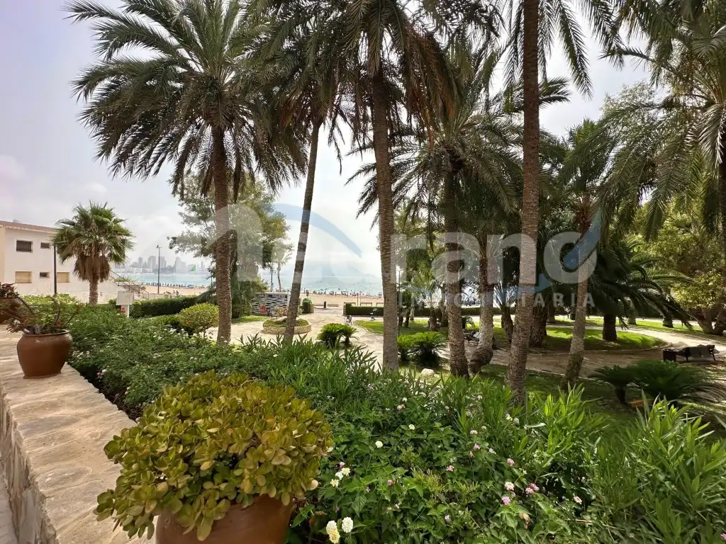 Pis amb jardí en venda a Avenida Vicente Llorca Alos, imagen 44