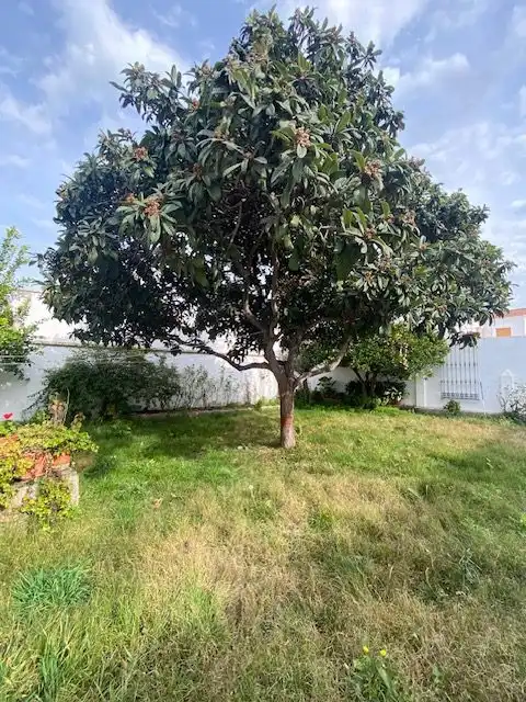 Country homes for sale in Calle Badajoz, 80, Barcarrota