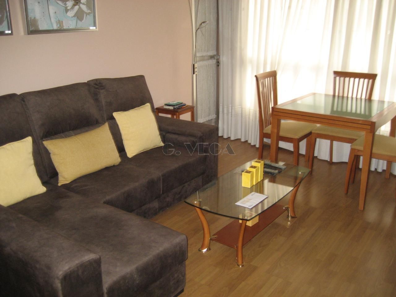 Sala d'estar de Apartament de lloguer en Vigo  amb Calefacció, Parquet i Moblat