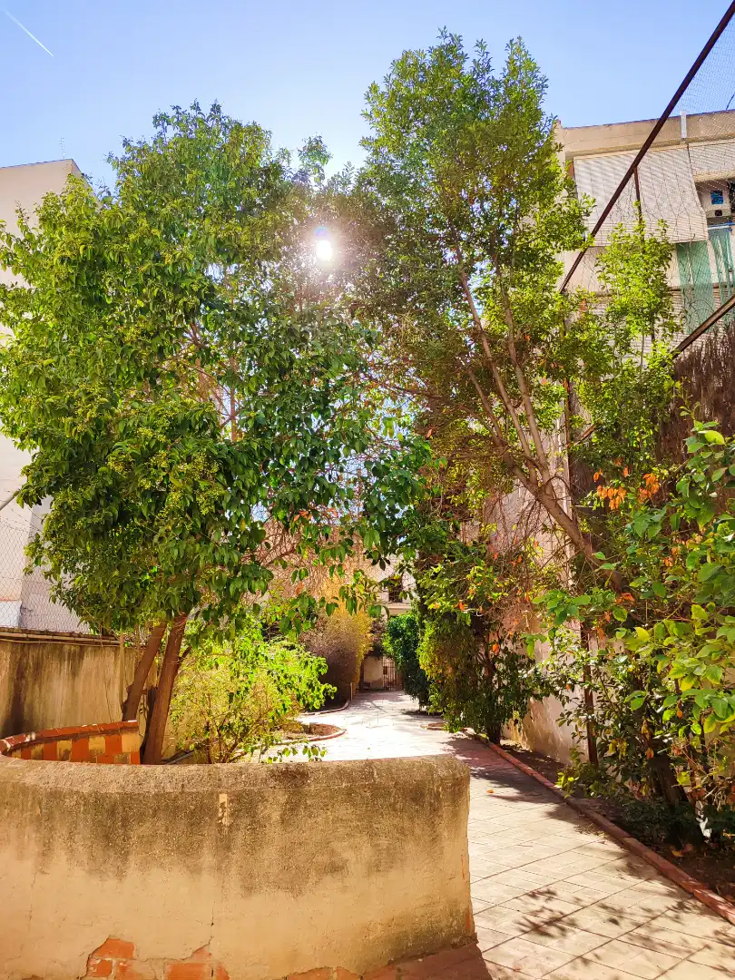 Exterior view of Buildings for sale in Aspe  with Community pool