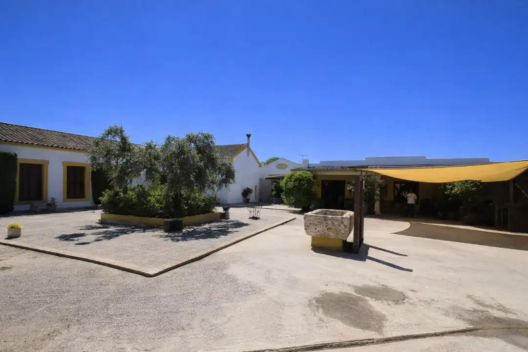 Terreno rustico in vendita a Nervión, imagen 15