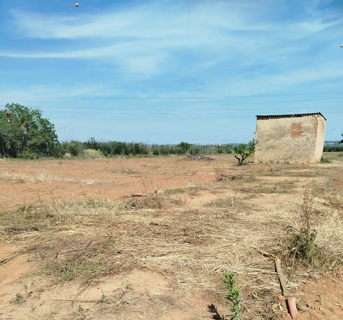 Land for sale in Vilallonga del Camp