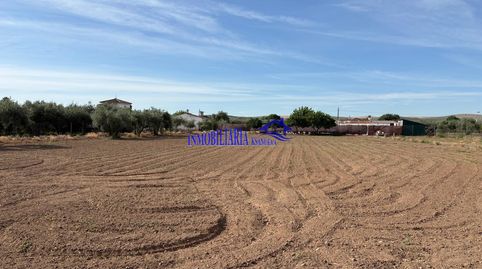 Foto 3 de Finca rústica en venda a Alcolea, Córdoba Capital