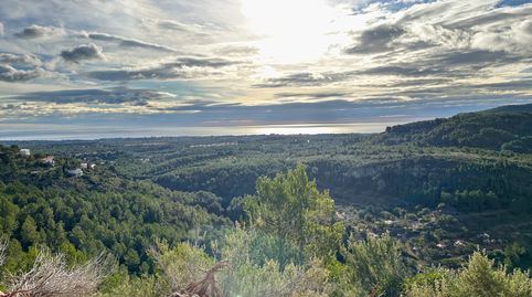 Mas Sardí  Mas dAbella es una propiedad situada en Pratdip, en la región de Tarragona. Un entorno natural preservado en un terreno, immagine 2