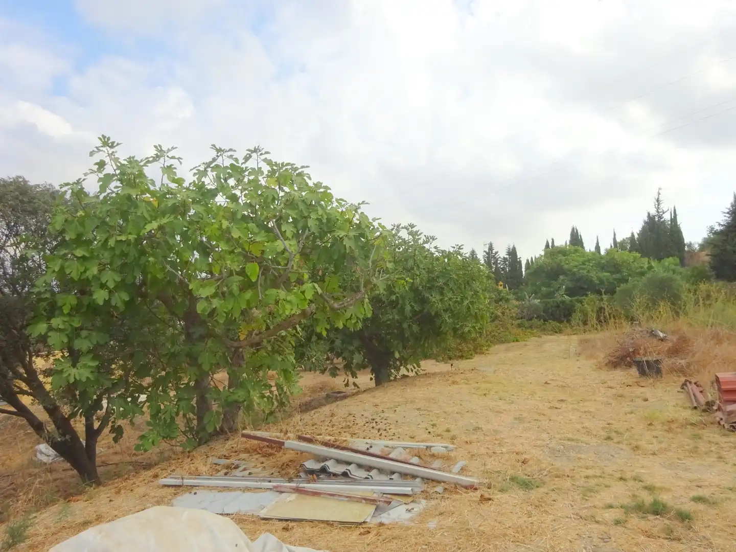 Casa o xalet en venda en Alhaurín de la Torre amb Aire condicionat, Jardí privat i Terrassa