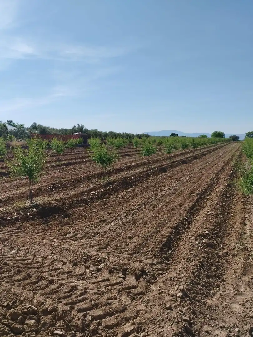 Terreni e lotti in vendita a Villa de Otura, imagen 16