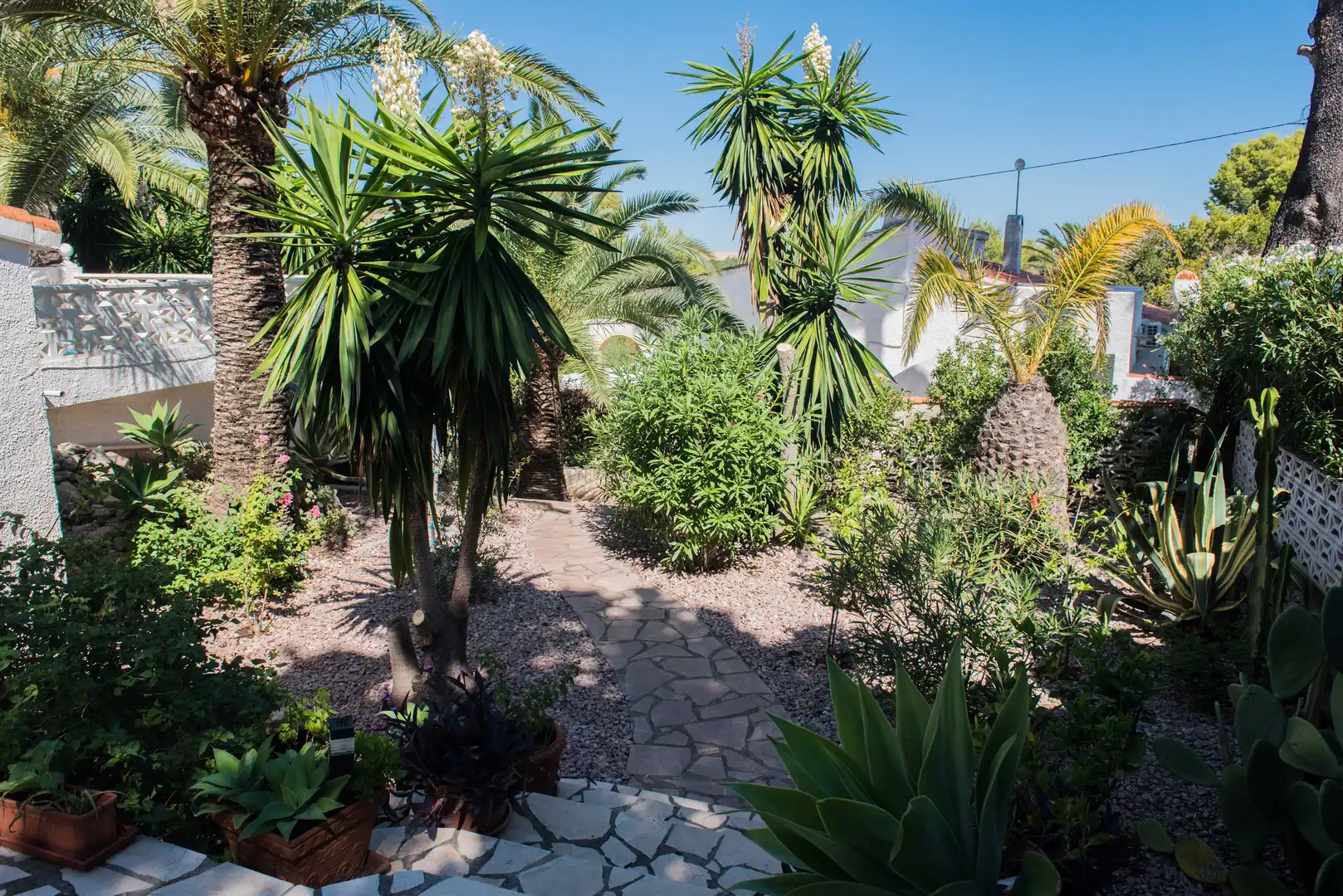 Detached house with pool for sale in Centro Urbano, imagen 27