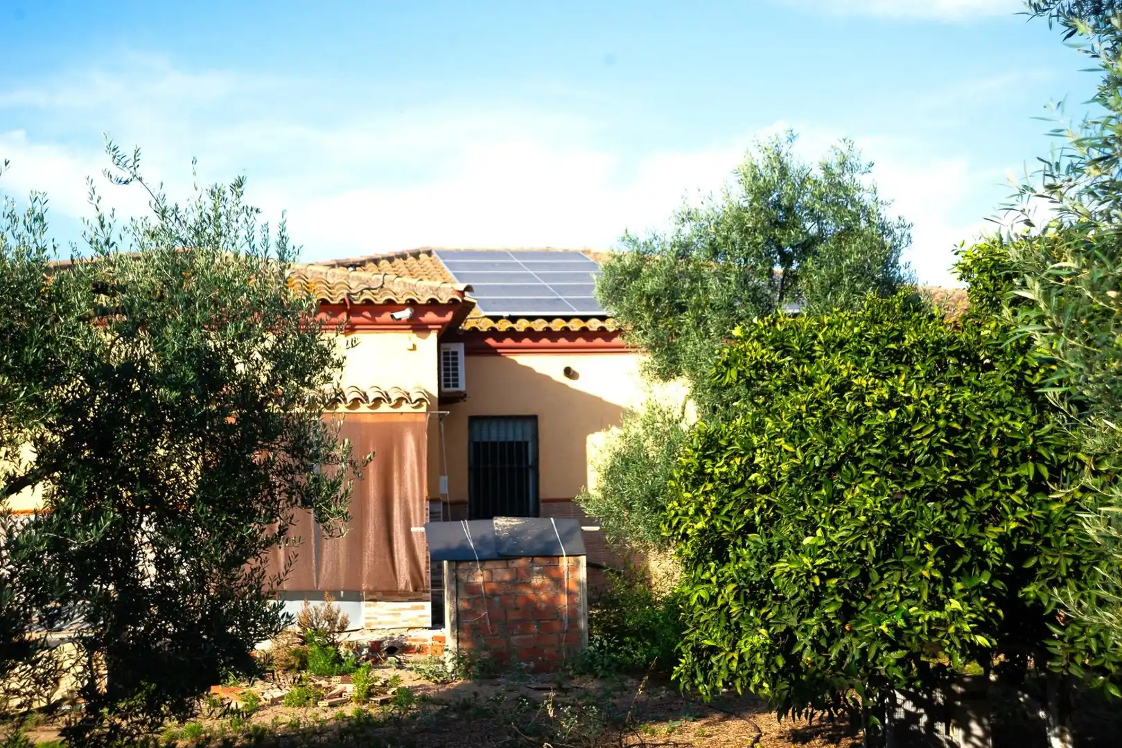 Jardín de Casa o chalet en venta en Pilas con Jardín privado y Piscina