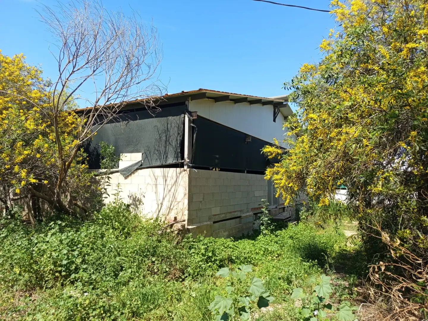Vista exterior de Nave industrial en venta en Fuente Álamo de Murcia