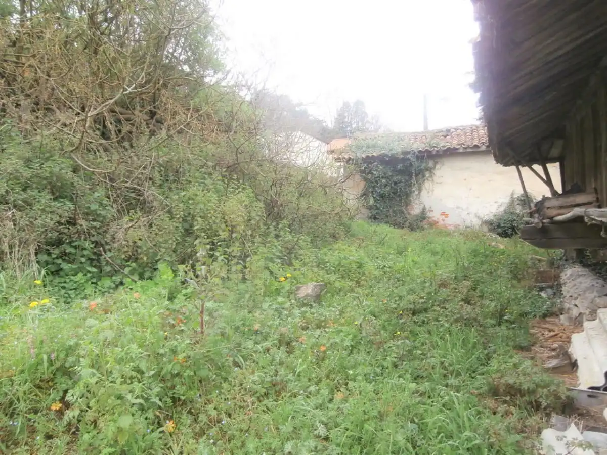 Casa amb jardí en venda a Candamo, imagen 14