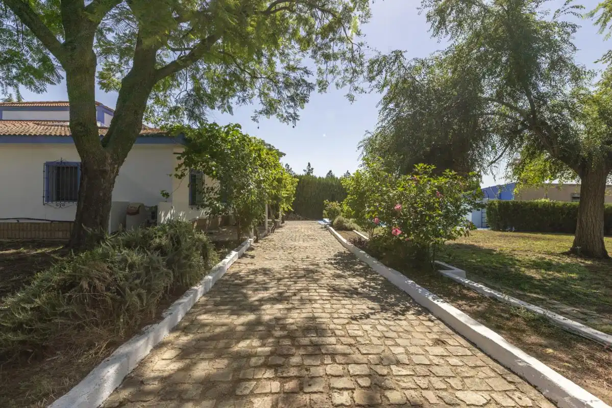 Garten von Haus oder Chalet zum Verkauf in Bollullos de la Mitación mit Klimaanlage, Heizung und Privatgarten