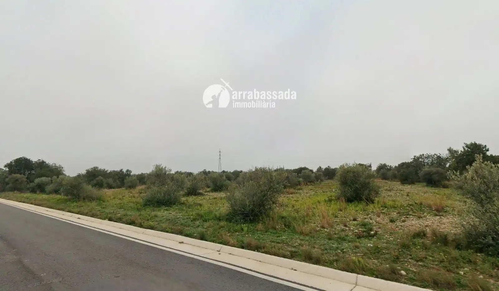 Terreny rústic en venda a Mont-roig del Camp, imagen 3