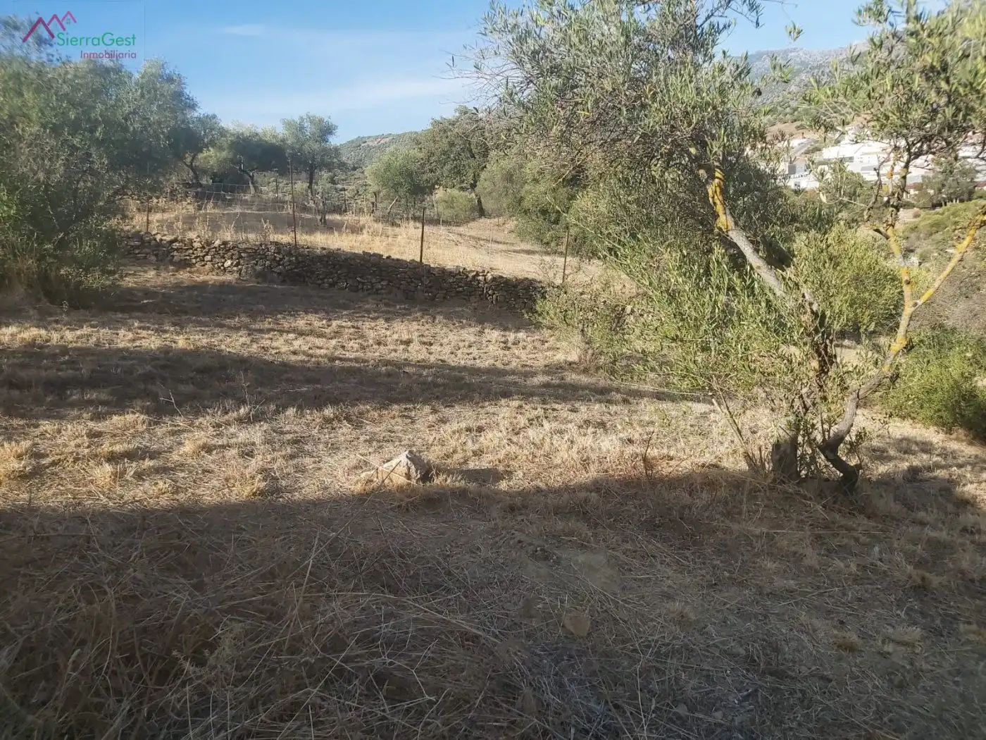 Terreny residencial en venda a Ubrique, imagen 12