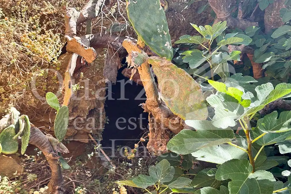 House with garden for sale in Calle Proyecto Número 3, imagen 9