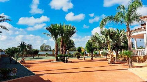 Foto 2 de Casa o xalet de lloguer a Cam. del Hondo, Catral, Alicante